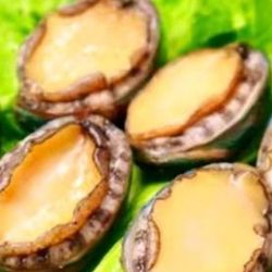 [广州鱼鲜] 老船长海鲜蒸汽锅(迎宾大道店)