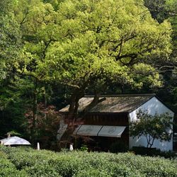 溪畔十九 杭州西餐
