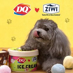 [大同饮品店] DQ·蛋糕·冰淇淋(百盛店)