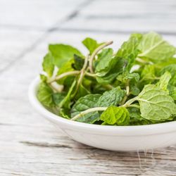 [丽江火锅] 乡村驴肉火锅